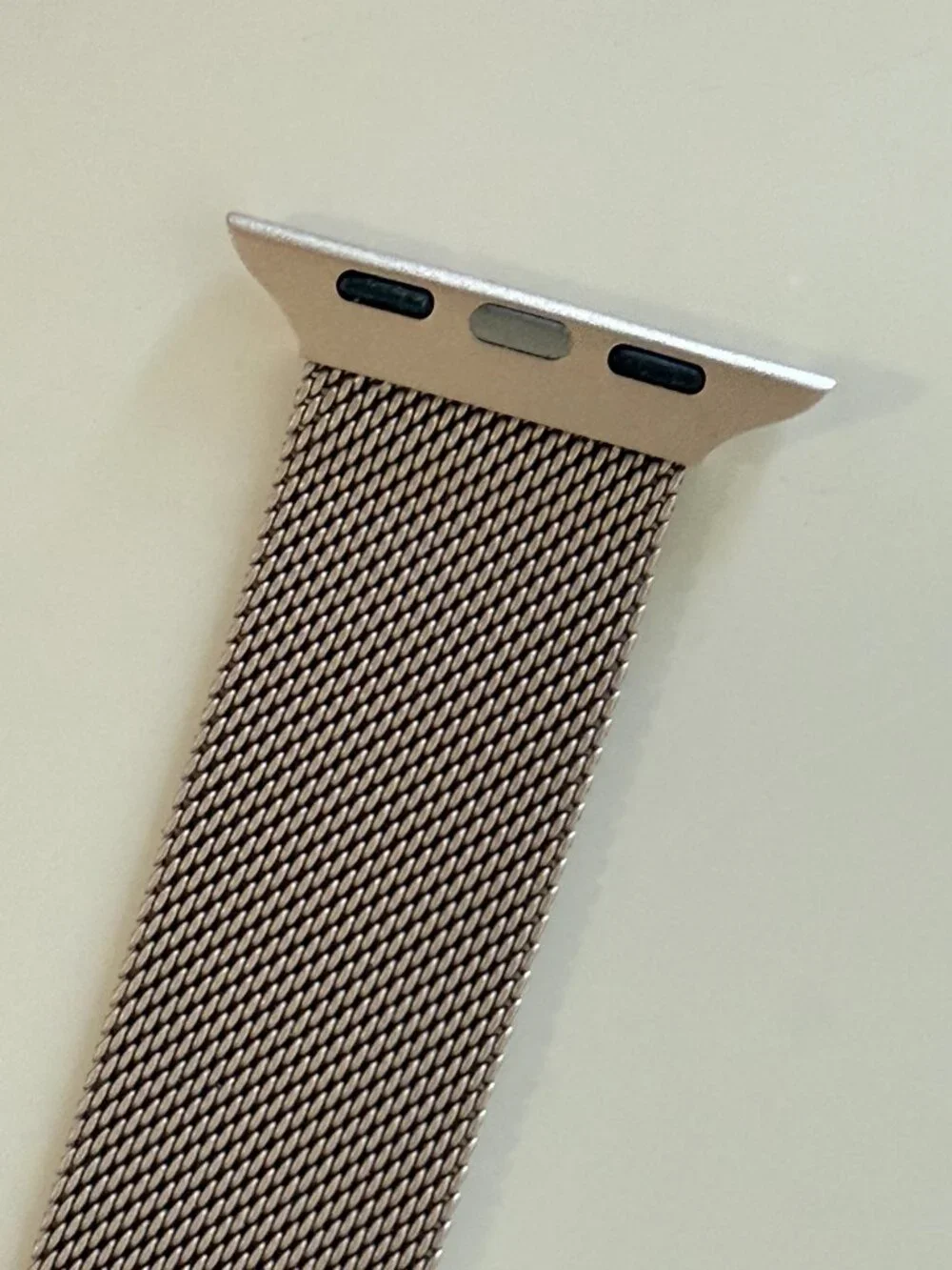 Stainless Steel Mesh Loop Magnetic Clasp Apple Watch Band